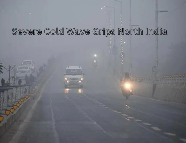 Severe cold wave and dense fog grip North India, affecting flights and trains; IMD extends forecast till 21st January.