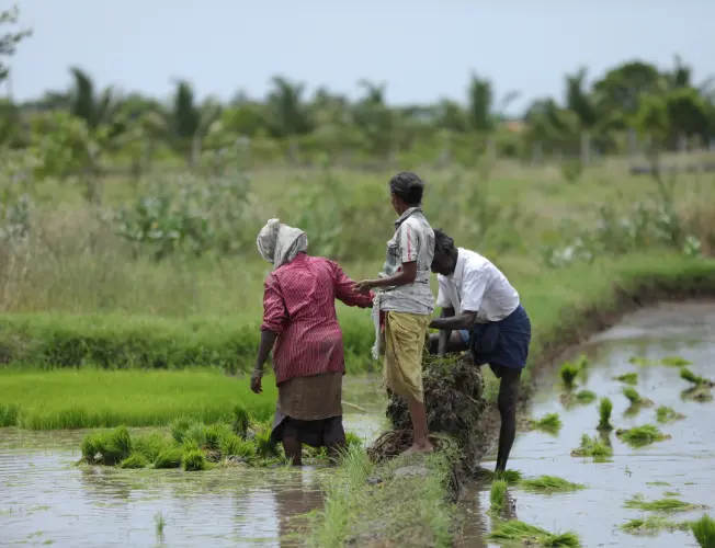 Government officials discussing potential increases in PM-KISAN scheme benefits and welfare initiatives, signaling positive developments for farmers and vulnerable sections of society.