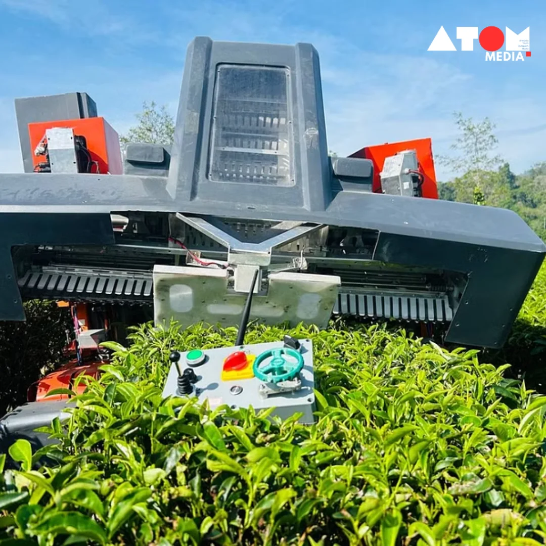 A robotic T-Rover harvesting tea leaves on a plantation slope.