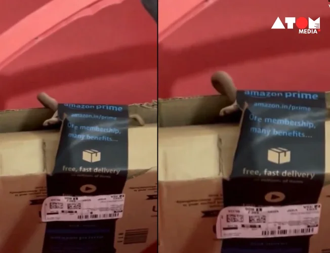 A close-up image of a cobra emerging from an open Amazon package intended for an Xbox controller.