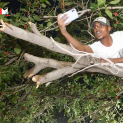 Fan Climbs Tree to Watch Team India's Victory Parade: Virat Kohli and Rohit Sharma's Priceless Reactions