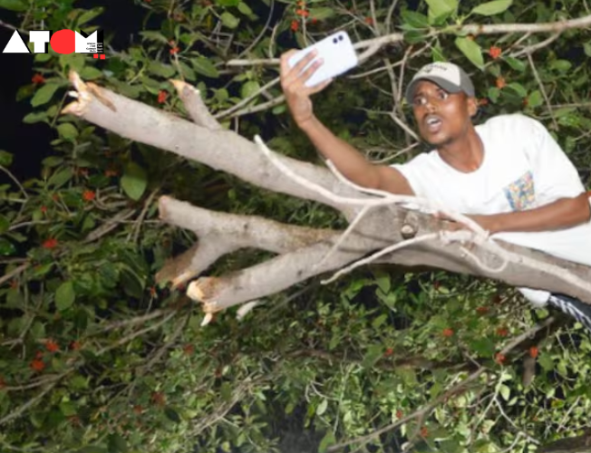 Fan Climbs Tree to Watch Team India's Victory Parade: Virat Kohli and Rohit Sharma's Priceless Reactions