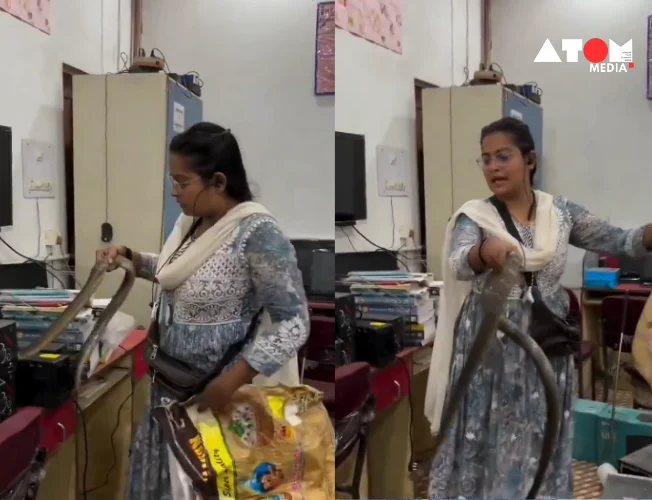 A daring snake catcher's calm and collected demeanor as she removes a snake from an office has gone viral. Witness the incredible moment a fearless woman saves the day in this must-watch video.